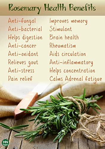 Image of Rosemary Seeds for Planting in Home Kitchen Garden (35-40 Seeds) (Rosemary)