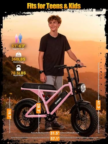 Image of 1500W Peak Electric Bike for Adults, 28MPH 48V 13Ah Removable Battery, 60 Mile Range, 16 inchx4.0 inch Fat Tire, 7-Speed E-Bike with Dual Suspension -Ebike for Men & Women，Pink with Acc