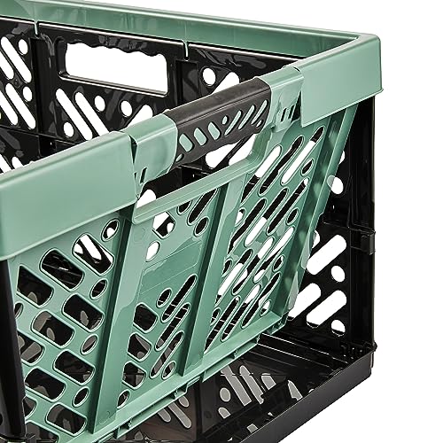 keeeper Stabile Profi-Klappbox mit Soft-Touch Griffen, 54 x 37 x 28 cm, 45 l, Ben, Nordic Green