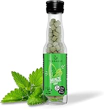 TEABALLS - MINZE für ca. 40 Tassen Tee