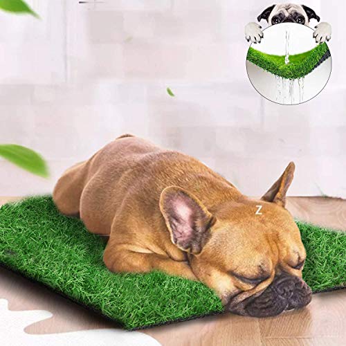 Status Contract Artificial Grass Mat for Outdoor Balcony Décor| (12x18cm)| Green Lawn Floor Carpet Living Room|Home and Kitchen Floor Mat|Outdoor Carpet Waterproof (Natural Green), Artificial Grass (Image - 6)