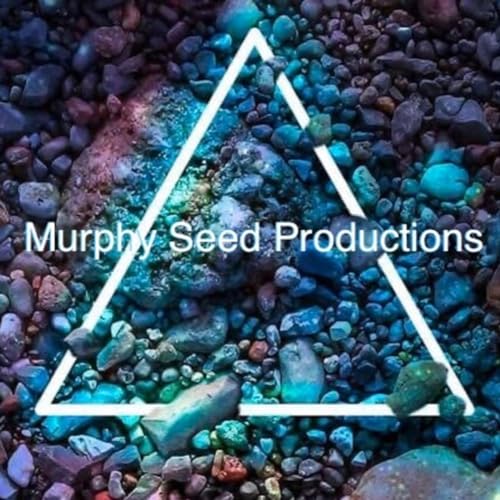 Murphy Seed - I Never Knew ReMix