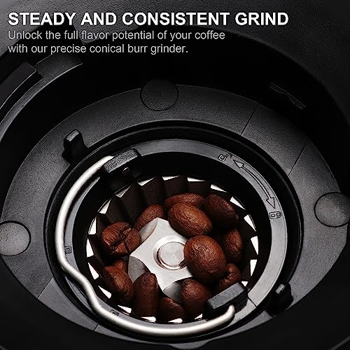 Conical Burr Coffee Grinder,with Touchscreens Digital Timer Display and Portafilter Cradle Electric Adjustable Burr Mill with 30 Precise Grind Setting for 1-12 Cup (BG706+Espresso Dosing) - Image 4