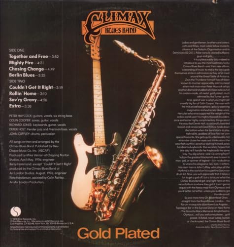 Gold Plated image 5