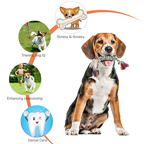 Zutesu Dog Chew Toy for Puppy Teething, 12 Pack Indestructible Dog Toys for Puppy Chewers, Interactive Tug of War Rope… - Image 4