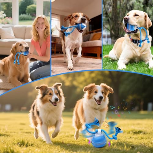 Interaktives Hundespielzeug, Interaktiver Spielball für Hunde mit LED-Lichtern, 3 Spielmodi, Hundeball Elektrisch mit Seil & Bellen, TYPE-C Aufladbar, Hundespielball für Kleine Mittlere Große Hunde