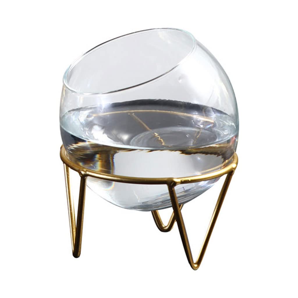 Jarrón de Cristal Redondo para el hogar, pecera hidropónica Transparente, portavelas para Sala de Estar (taranika Transparente)