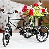 Good LINE SHOPPEE Gifting Flower Pot, vase, Planter, Iron handicrafts, Handmade,Unbreakable, Wrought, Home Figurines, Gift for Women, Corporate, Gift Item Rickshaw Cycle