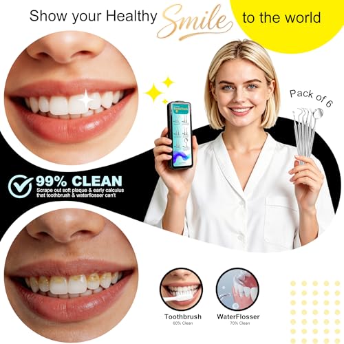 CATACC PRO Stainless Steel Dental Kit