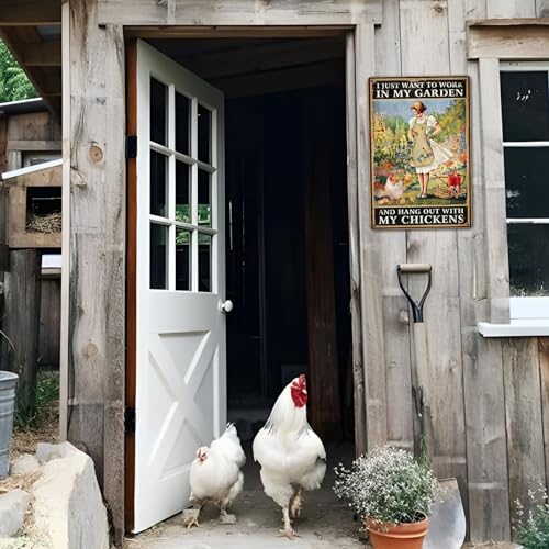 Funny-Chicken-Sign-Chicken-Coop-Sign-Wall-Decor-I-Just-Want-To-Work-In-My-Garden-Outdoor-And-Hang-Out-With-My-Chickens-8-x-12-276 Funny Chicken Sign Chicken Coop Sign Wall Decor I Just Want To Work In My Garden Outdoor And Hang Out With My Chickens 8 x 12 276