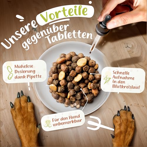 FeiniFit Vitamin B Komplex Hund Tropfen 100 ml – flüssige B-Vitamine für Hunde, leichte Einnahme statt Tabletten, B Vitamine Hunde (B1–B12) für einfache tägliche Versorgung, Made in Germany
