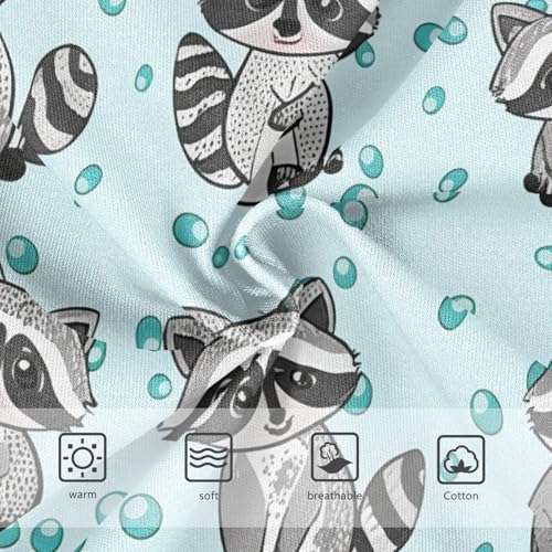 Cute Raccoons Toddler Girls's Underwear 2T 202c11273