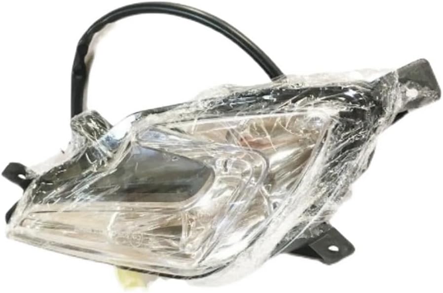 スカルノ大統領所蔵、村の礼拝王、希少な額装用画集より、新品高級額装