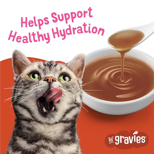 Purina Friskies Lil Gravies Cat Food Complement, (16) 1.55 oz Pouches | Savory Salmon Flavor lickable cat treat, gravy topper for kibble or a tasty snack, no artificial colors or preservatives - image 3