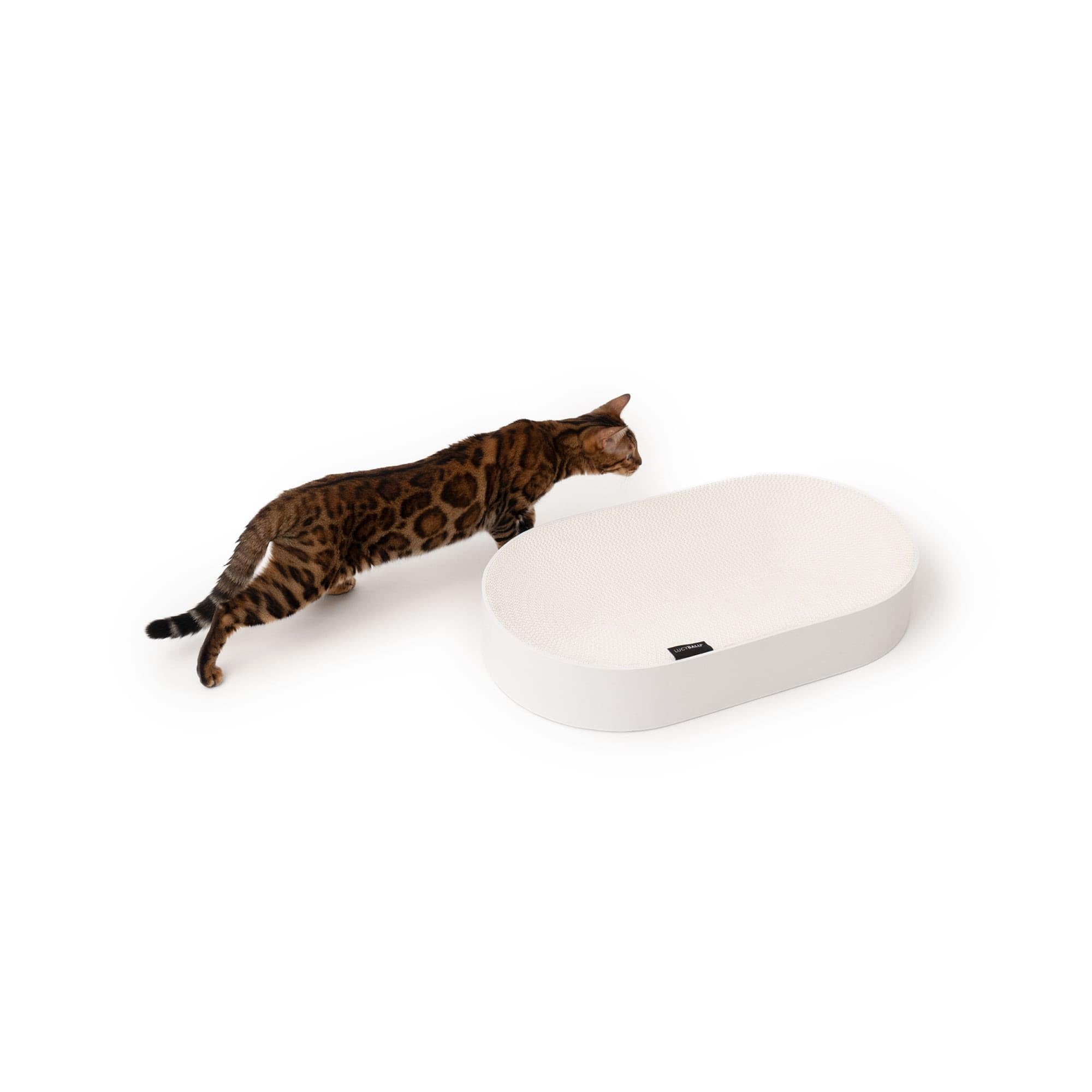 LucyBalu® SCRACTHBED Cama y rascador para gatos, cama de cartón, rascador para gatos