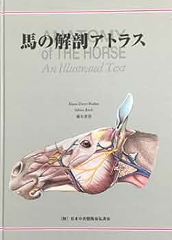 馬の解剖図鑑、競走馬の病気と手術 JRA出版 あいうえお様専用】馬の解剖図譜＋競走馬の病気と手術(JRA