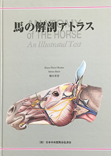 馬の解剖図譜 5冊セット 手書き獣医学解剖図譜（馬） スケッチブック2冊 / 古本、中古本、古
