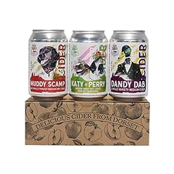 Buy The Purbeck Cider Company Craft Cider Gift Set – 3 x 330ml Lightly Sparkling Premium Dorset Cans – Twelve Green Bottles