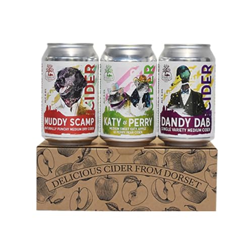 The Purbeck Cider Company Craft Cider Gift Set | 3 x 330ml Cans | Lightly Sparkling Trio | Premium Dorset Cider
