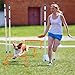 SMTPDT Agility Hurdles Training Equipment - 10 Speed Hurdles and 10 Soccer Cones with Carrying Bag for Soccer, Football, and Track Drills, Ideal for Athletes Speed and Agility Training