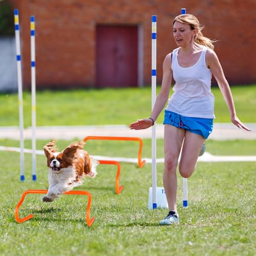 agility hurdles training equipment - 10 speed hurdles and 10 soccer cones with carrying bag for soccer football and track drills ideal for athletes speed and agility training