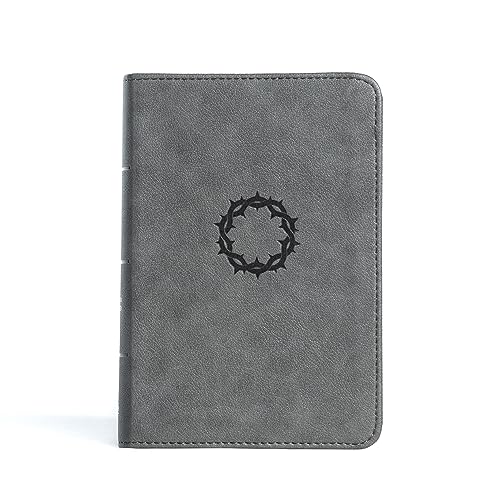 Holy Bible: Christian Standard Bible, Stone Leathertouch, Reference Bible