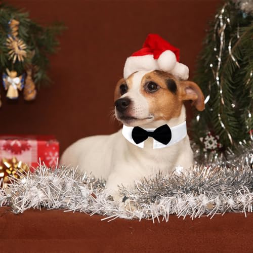 Fliege für Hunde, Hundeanzug Hochzeit Accessoire, Fliege Hund verstellbar, Hunde Fliege für Formelle Anlässe, Hochzeits-Kostüme, Party (L)