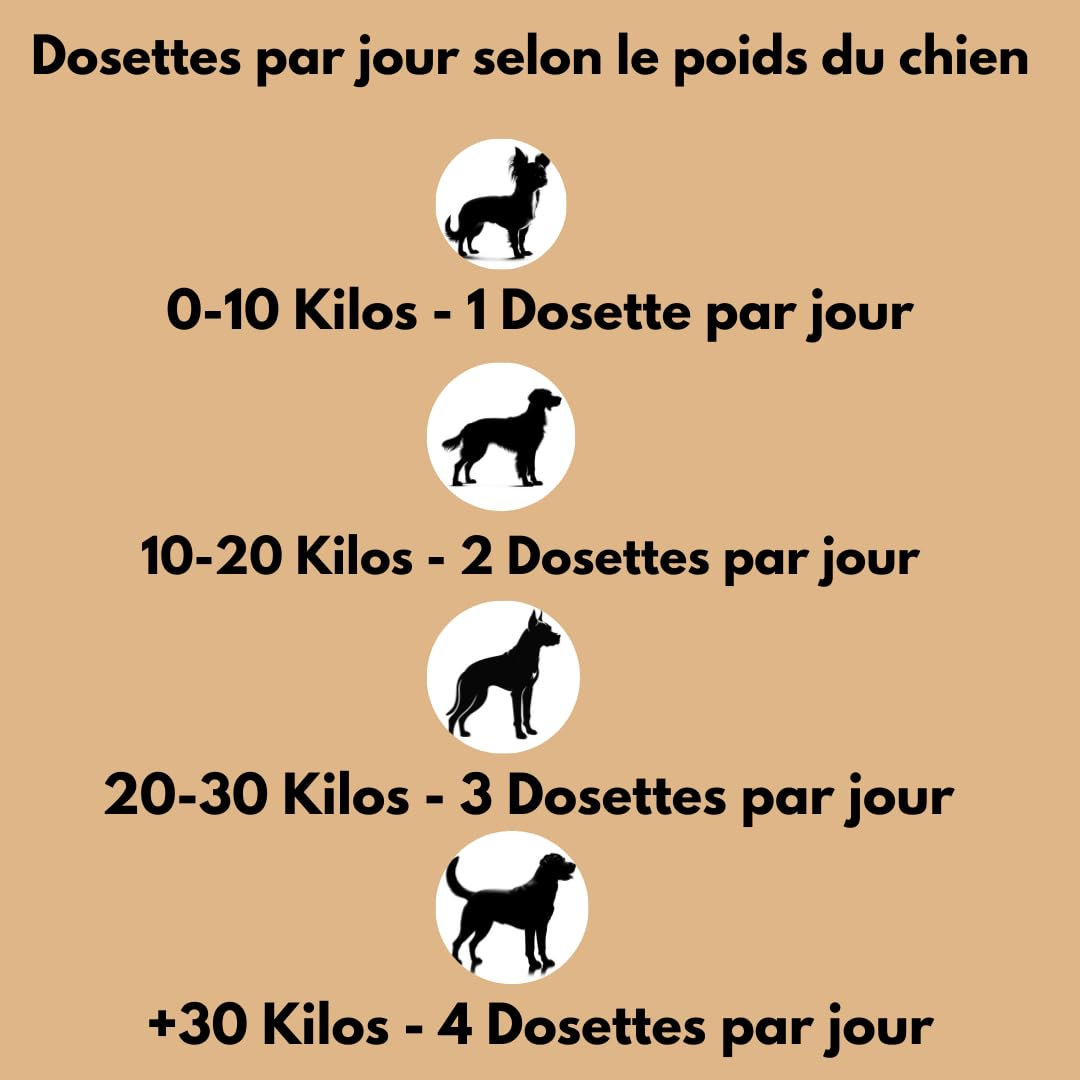 SUNFIDE - Poudre Dentaire pour Chien - Haleine Fraîche, Dents propres, Gencives Saines - Anti-tartre et Mauvaise Haleine - Anti-Plaque - Algues et Probiotiques (1 Boîte (60 Dosettes - Doseur Inclus))