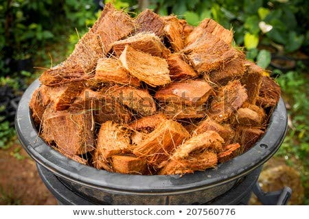 Gitachi Coconut Husk Chips 1/2 Kg for Orchids and hydroponics-image-42