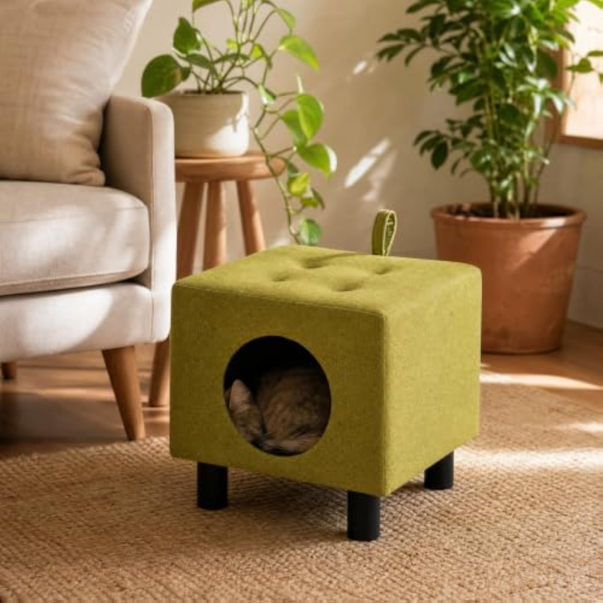 Cat Ottoman with Enclosed Pet Bed