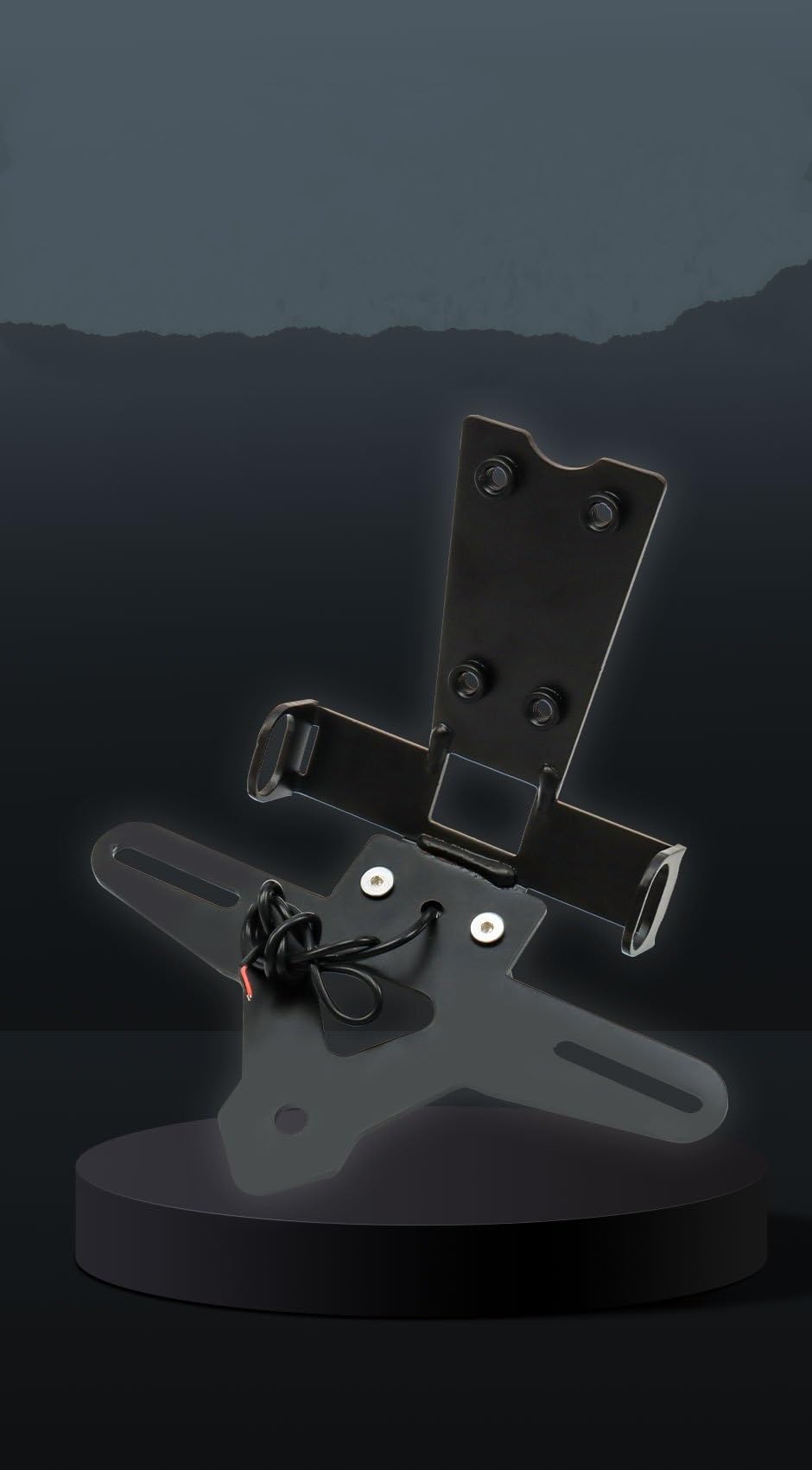 Portatarga Con Indicatori Di Direzione Integrati Moto Per CB750, CBR500R, CB500F, CB500R E Hornet