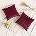 MIULEE Funda de Cojines de Terciopelo Super Suave Funda de Almohada de Sofá Decoración Moderna para Oficina Sofa Cama Sala de Estar Dormitorio Habitación Silla 2 Piezas 45x45cm Vino Rojo
