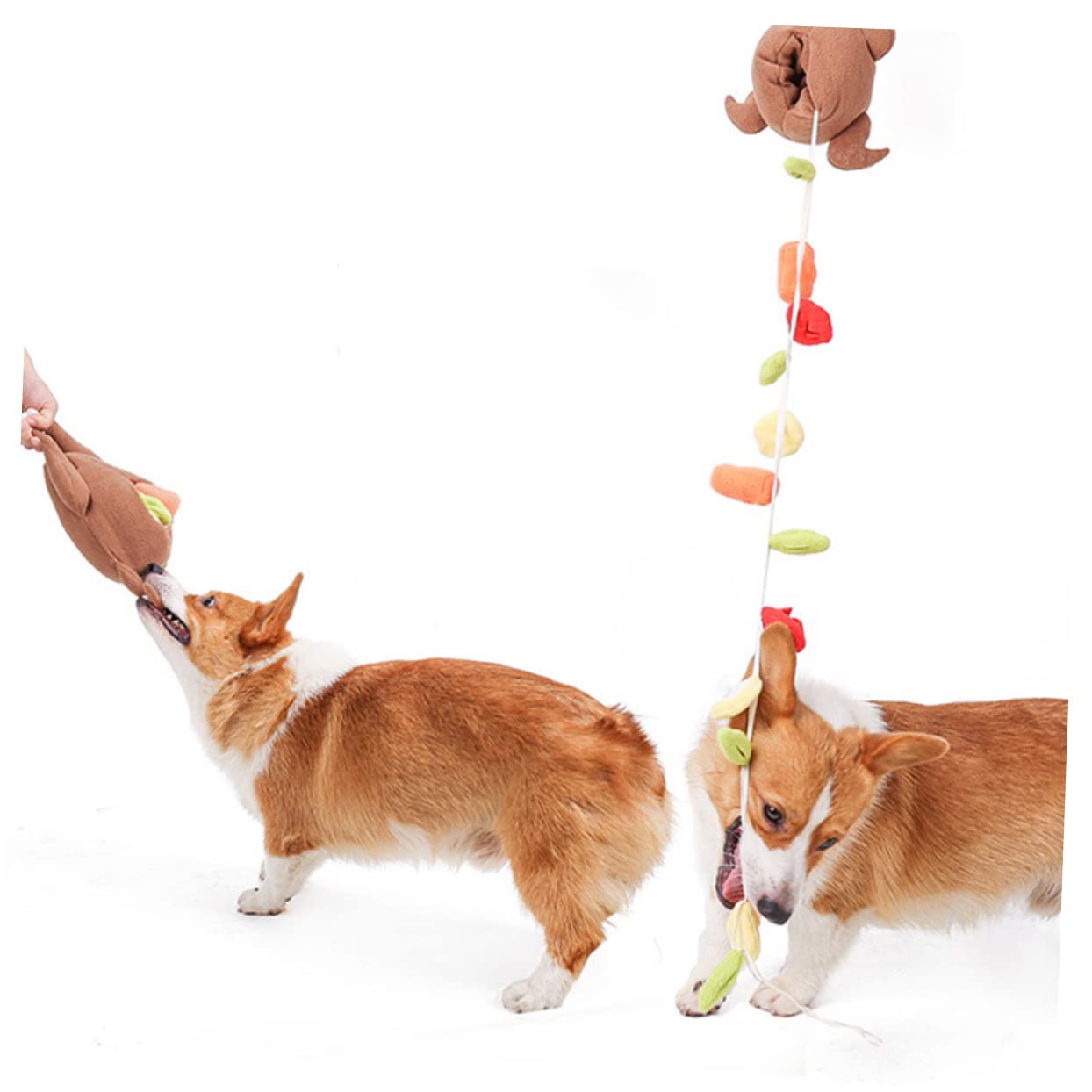 Housoutil 2pièces Jouet à Renifler pour Chien Jou Dinde Jou Mastication pour Chiots Accessoire Interaction Formation pour Animaux De Compagnie