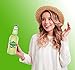 Stewart's Key Lime Soda, 12 fl oz (12 Glass Bottles)