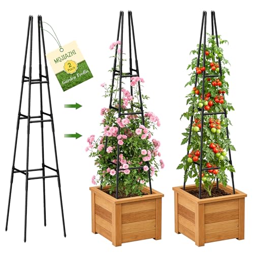 Garden Obelisk Trellis 165cm Climbing Plant Support for Potted Flowers Vines Vegetables Like Tomatoes & Cucumbers - Outdoor Pyramid Plant Cage for Patio Lawn & Backyard (1 165cm)