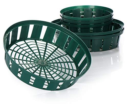 Com-four® Ensemble de 6 Paniers pour Bulbes - Bol de Plantation pour Entreposer des Plants d'Oignons, Paniers à Oignons Verts (22cm 31cm)