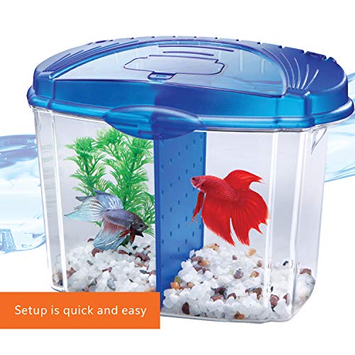 Aqueon Betta Bowl Aquarium Fish Tank Kit, Blue, Half Gallon #TOP3