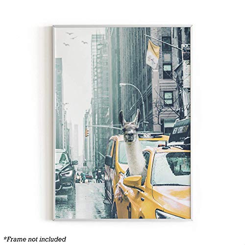 Llama Dorm Decor and Llama Wall Art By Urban Willow | Dope Posters