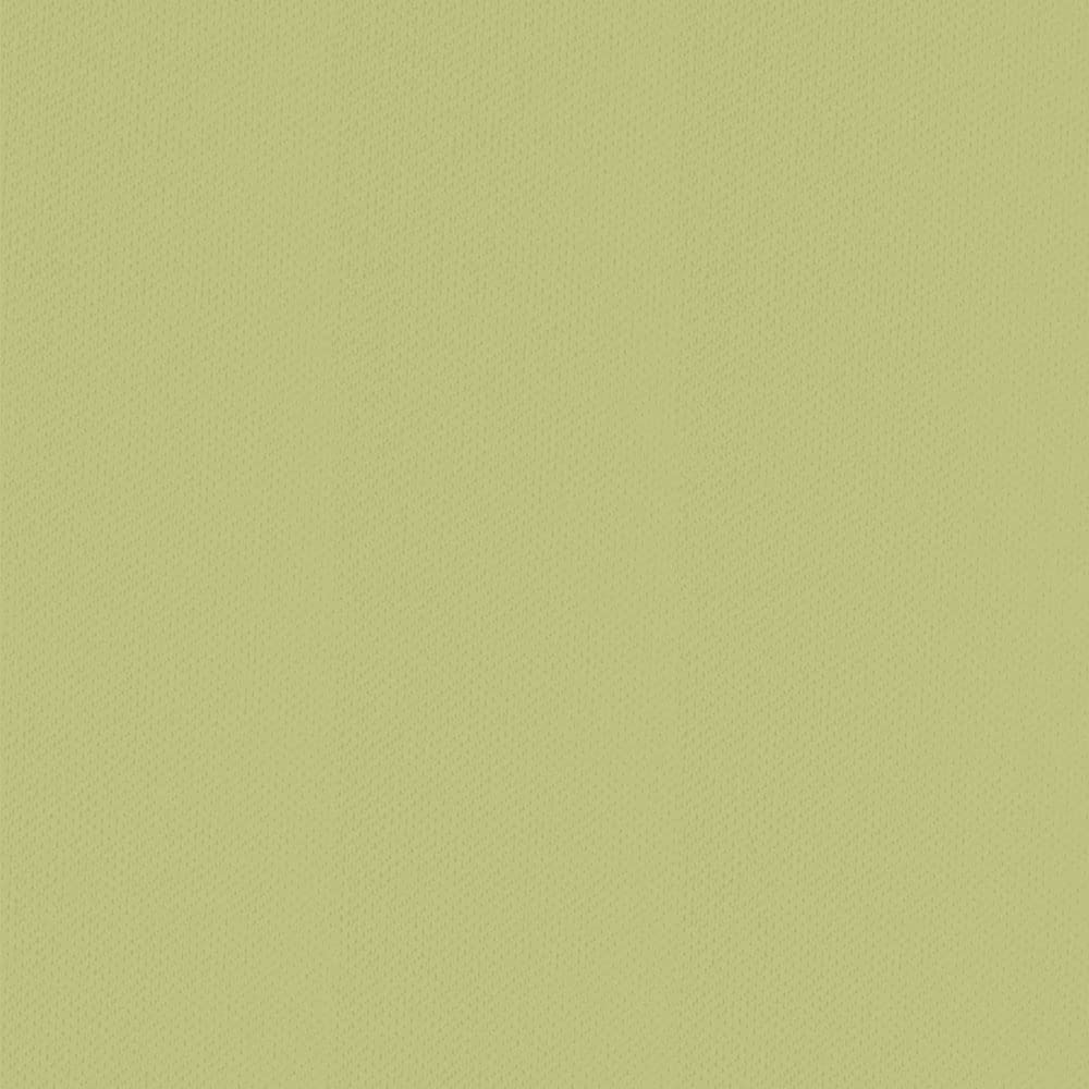 ESTELLA Spannbetttuch Feinjersey | maigrün | 150x200 cm | bügelfreie & trocknerfeste Qualität | Rundumgummi | 100% Baumwolle