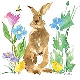  Servietten (2er Set / 40Stück) 3-lagig 33x33cm Frühling Ostern Osterhase Häschen Hase Felix