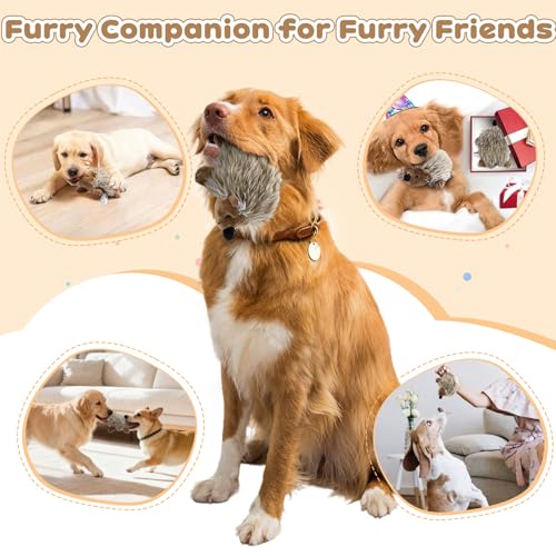 Pawaboo Plüschspielzeug für Hunde, Igel Plüsch Hundespielzeug Interaktiv Hundspielzeug mit Quietscher, Ungiftig Ultra Weich Robust für Hunde Katzen Beißen Spielen Training, M Size für kleine Hunde