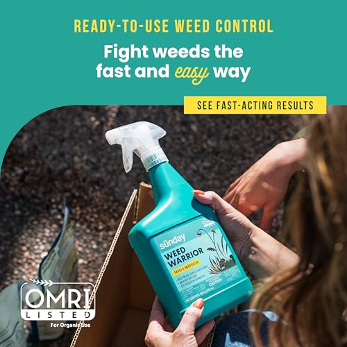 Sunday Weed Warrior, 32oz, 2 Pack - Grass & Weed Killer - Organic, Ready-to-Use Weed Killer Spray - Herbicide Spot Treatment - Kills Weeds, Grass, Algae and Moss