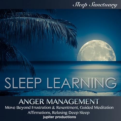 Anger Management, Move Beyond Frustration & Resentment Audiolivro Por Jupiter Productions capa