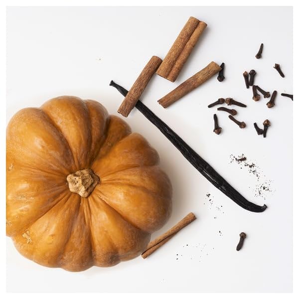 HÖSTAGILLE Candela profumata in vetro, 2 stoppini, Zucca speziata/marrone, 40 ore