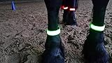 https://www.youtube.com/watch?v=ax4tKSBt9cI