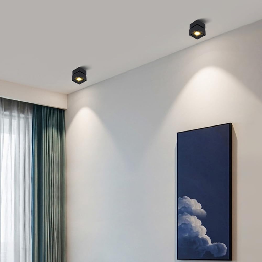 LED Spotlight Adjustable Ceiling Spot Light Art DIY Spotlights Gallery Picture Lighting Artwork Display Spots Lights Square Wall Swivel Lamps for Living Room Hallway Artwork