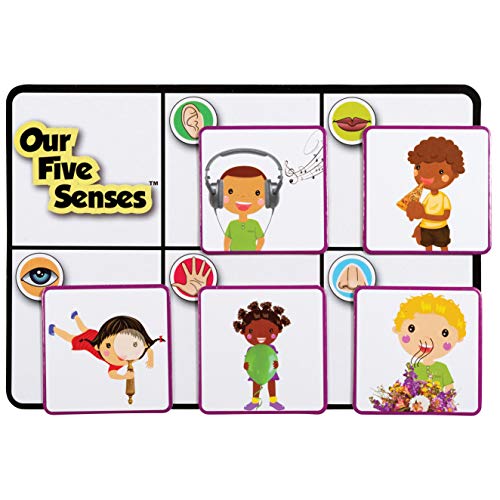 Learning Advantage Juego de los 5 Sentidos para Niños 3+ miniatura 5