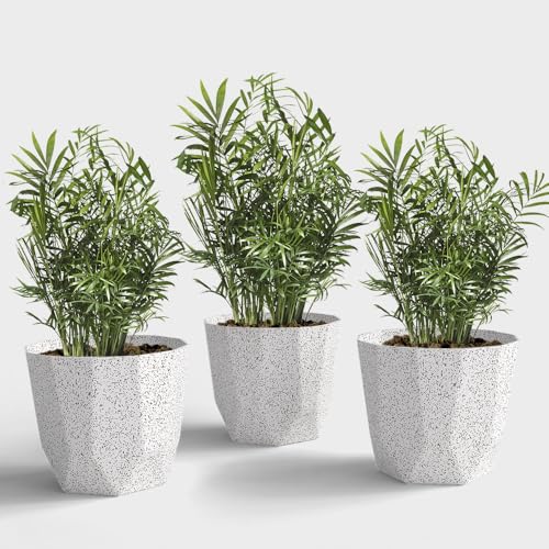 Image of YUCCABE ITALIA SHERA Hexa Plastic Planter Pot for Plants | Decorative Flower Pot | UV Protected Lightweight Indoor Outdoor Gamla for Home Decor, Balcony, Garden & Living Room