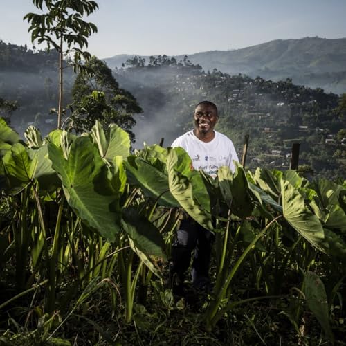 France, la souverainet&eacute; alimentaire commence par le pain