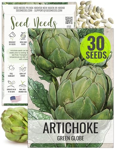 Seed Needs Green Globe Artichoke Seeds to Plant Heirloom & Non-GMO 1 Pack